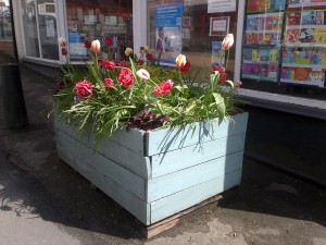 Wey Hill Volunteer Planting