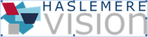 Vision Logo